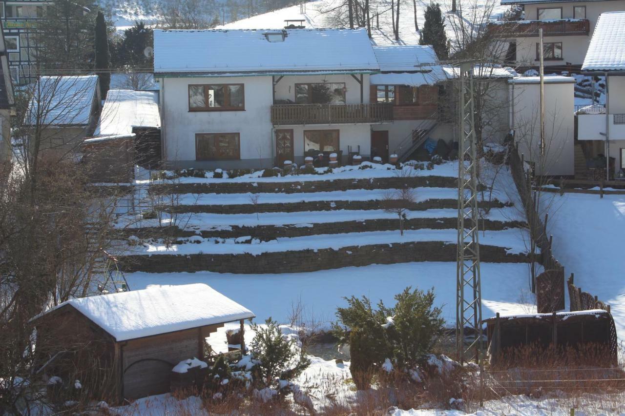Villa Haus Talblick Schmallenberg Exterior foto